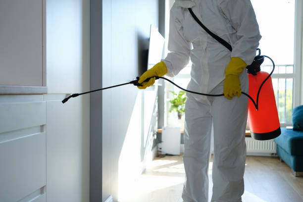Best Kitchen Mold Remediation in King City, CA
